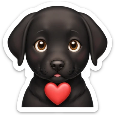 Black lab with heart sticker