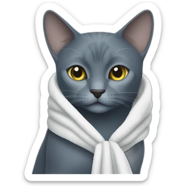 a darker russian blue cat walks hold a towel with his mouth sticker