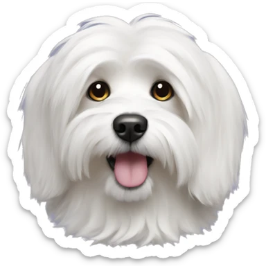 Coton de tulear  sticker