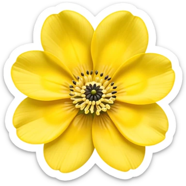Anemone yellow 5 yaprak sticker