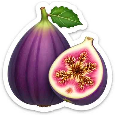 Fig sticker