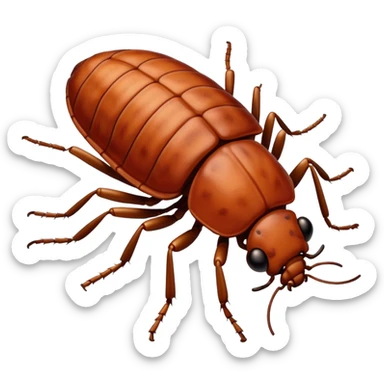 Bedbugs sticker
