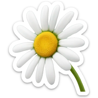 White daisy  sticker