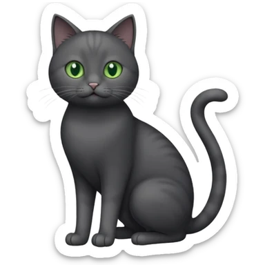 full body gorgeous solid dark grey cat with green eyes, white paws and white whiskers playing sticker