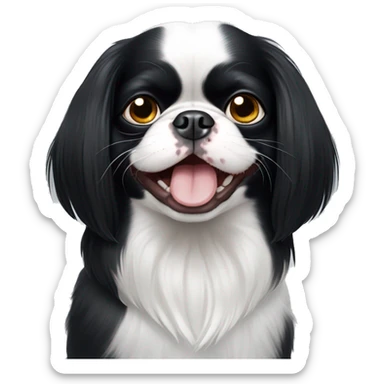 black and white japanese chin with one white eye happy  sticker
