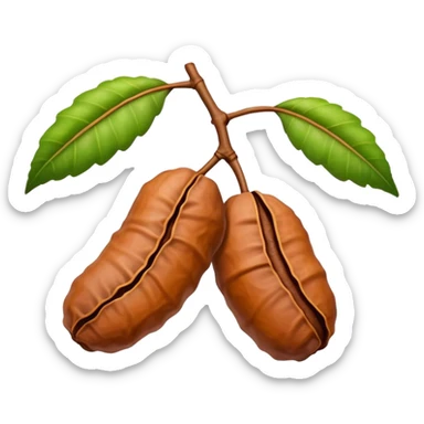 tamarind fruit with leaf sticker