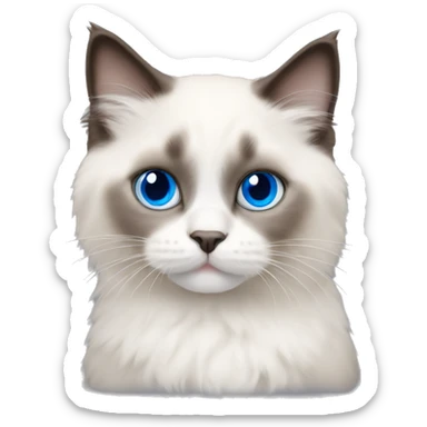 Ragdoll kitten with blue eyes sticker