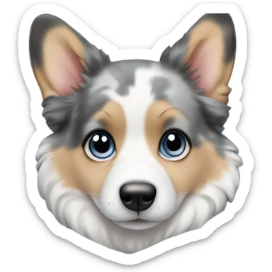Blue Merle girl corgi with a blue eyes in blanket sticker