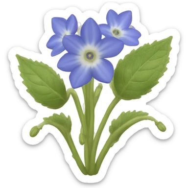 borage sticker