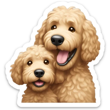 Cute sweet miniature golden doodle biting funny brown haired 49 year old man sticker