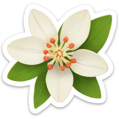 ashwagandha flower sticker