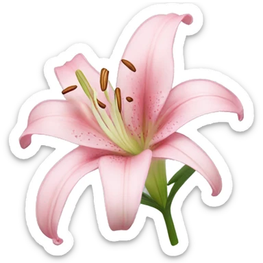 light pink lilium sticker