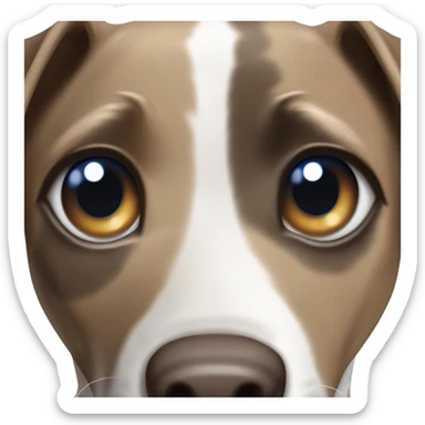 catahoula one blue eye one brown eye sticker