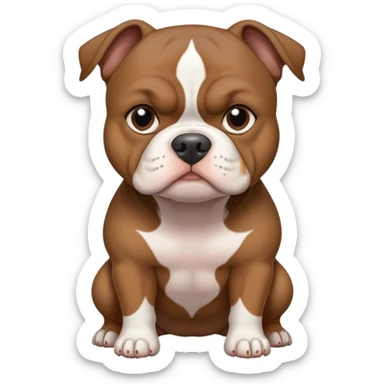 Dark brown american pocket bully sticker