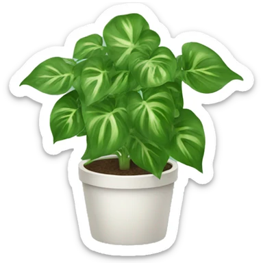 pothos plant sticker