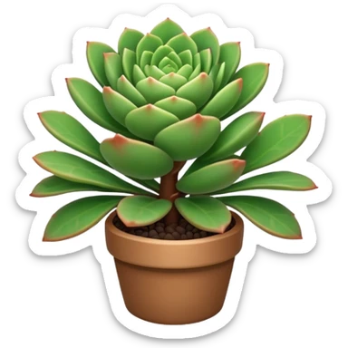 plant with small succulent like leaves sticker