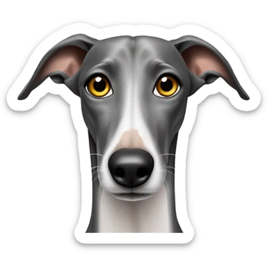 galgo mit zahnweh sticker