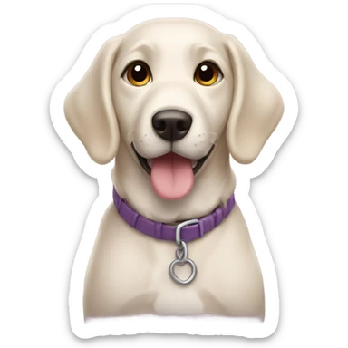 Dog named Luna proud of her cute face and cute coat sticker