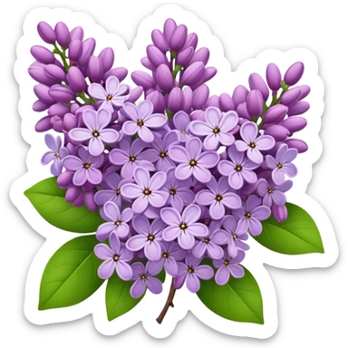 Lilacs flowers sticker