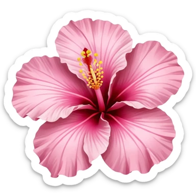 Light Pink hibiscus  sticker