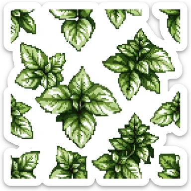 Fresh basil herb with green leaves sticker