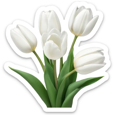 White tulips sticker