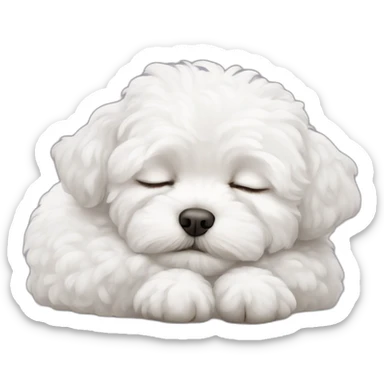 a white maltipoo sleeping Zzz sticker