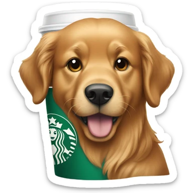 Red Golden retriever with starbucks sticker