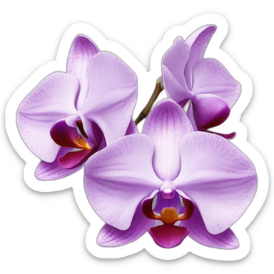orchids sticker