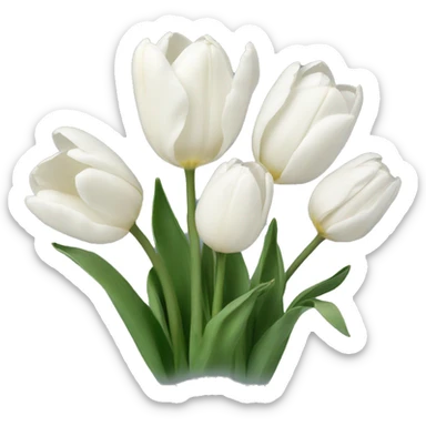 White tulips sticker