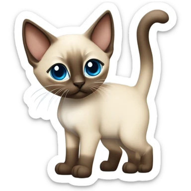 Siamese kitten standing  sticker