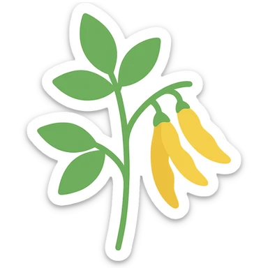 colored icon of a pigeonpea plant with green leaves and yellow pods sticker