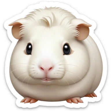 Cinematic Noble White Guinea Pig Portrait Emoji, Poised and regal, with a compact, chubby build and a pristine, well-groomed pure white coat, deep-set soulful dark eyes, Simplified yet sharp and sophisticated features, highly detailed, glowing with a soft, dignified glow, high shine, intelligent and sweet, stylized with an air of gentle purity, focused and attentive, soft glowing outline, capturing the essence of a watchful and confident little companion, so majestic it feels as though it could scurry out of the screen with effortless authority! sticker