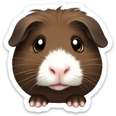 a cute dark brown guinea pig with a brown muzzle and a thin white line of hair between the eyes sticker