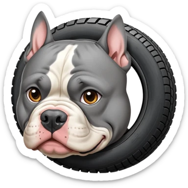 American bully tire merle cinza com manchas pretas e castanhas sem as orelhas cortadas  sticker