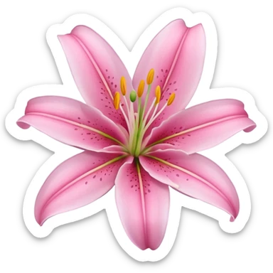 lily flower pink sticker