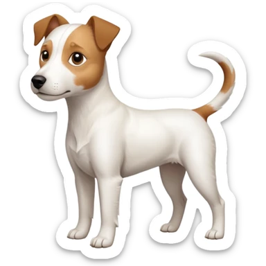 a full body slightly chubby white parson russell terrier looking dog the size of a kelpie with light brown long ears and a light brown patch on one eye and a large snout sticker