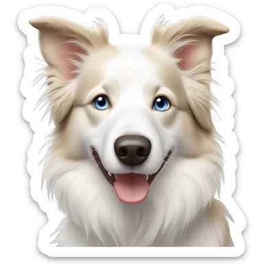white blond border collie australian blue eyes sticker