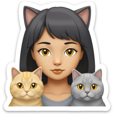 A black short hair girl, Four cat grey British Shorthair, yellow British Longhair, White Longhair, white British longhair.  sticker