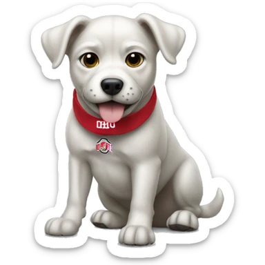 Dog with Ohio state  sticker