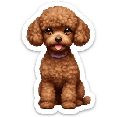 Toy poodle,brown sticker