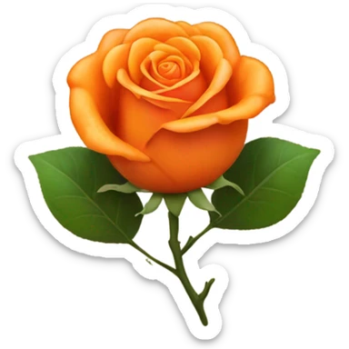 Orange aesthetic heart in which there is a bright orange rose  sticker