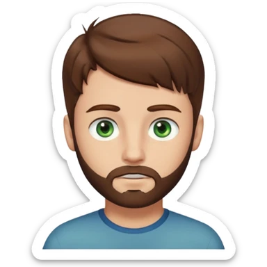 a boy with brown hair, with bluey green eyes, a little bit of beard sticker
