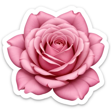 Polaroid photo of a pink rose  sticker