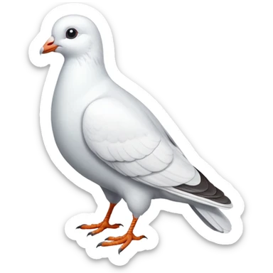 white pigeon sticker