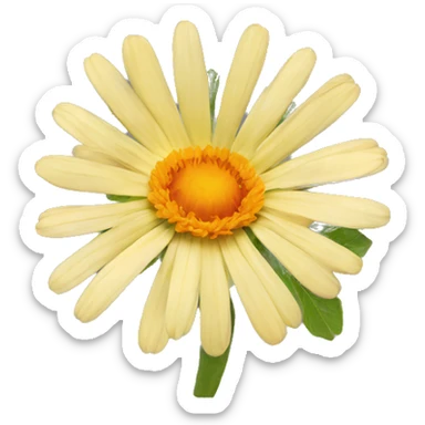 Calendula flower  sticker