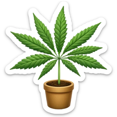cannabis sticker