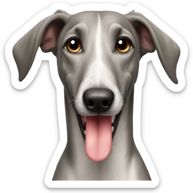 Italian grayhound with tongue out  sticker