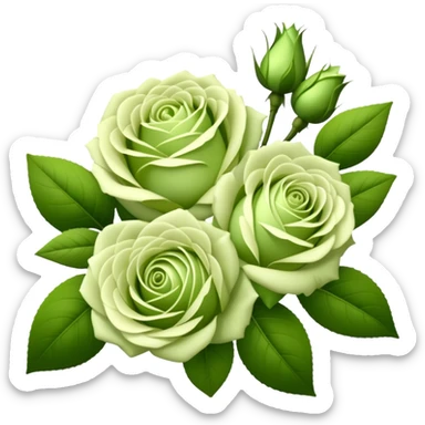 big bouquet Soft Green Tea Rose, luxuriant, leaf, bud sticker