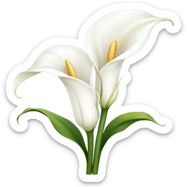 Ultra realistic Calla Lily Zantedeschia sticker